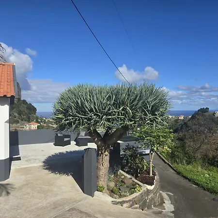 Casa Rosa アパート